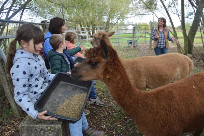 Nourrissage & câlins